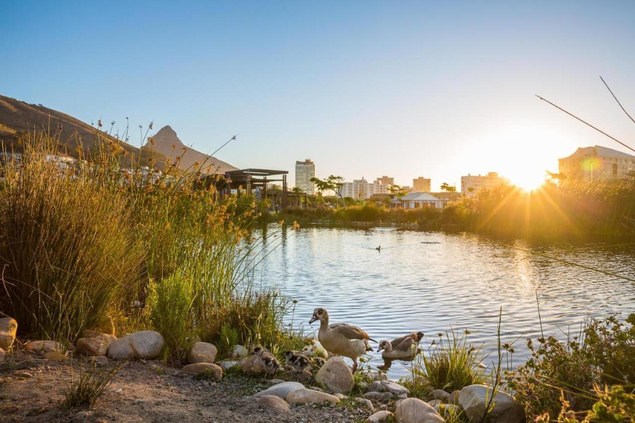 Luxury Apartment, Near V&A Waterfront And Cpt Stadium Cape Town Exterior foto